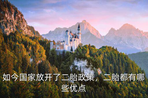 如今國(guó)家放開(kāi)了二胎政策，二胎都有哪些優(yōu)點(diǎn)