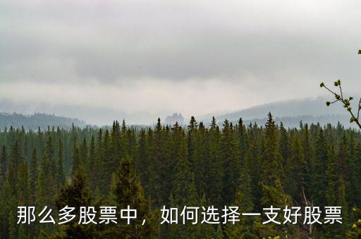 那么多股票中，如何選擇一支好股票