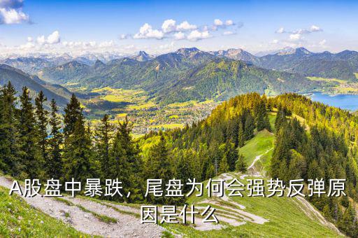 A股盤(pán)中暴跌，尾盤(pán)為何會(huì)強(qiáng)勢(shì)反彈原因是什么