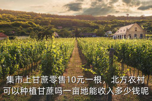 集市上甘蔗零售10元一根，北方農(nóng)村可以種植甘蔗嗎一畝地能收入多少錢呢