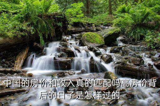 中國的房?jī)r(jià)和收入真的匹配嗎高房?jī)r(jià)背后的日子是怎樣過的