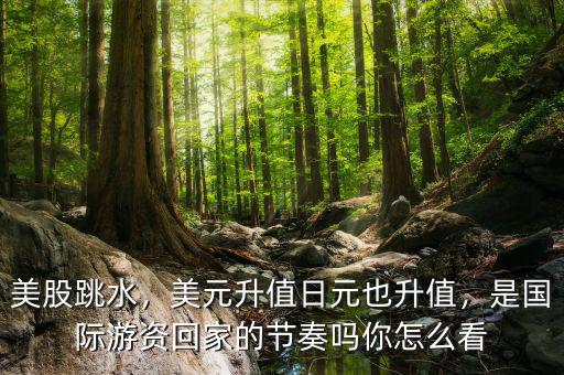 美股跳水，美元升值日元也升值，是國際游資回家的節(jié)奏嗎你怎么看