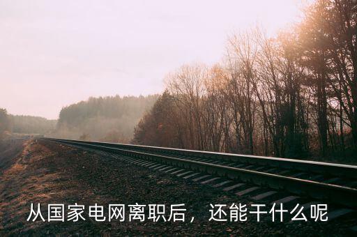 從國家電網(wǎng)離職后，還能干什么呢