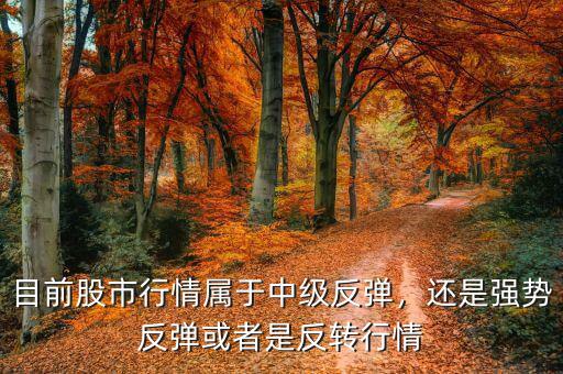 目前股市行情屬于中級(jí)反彈，還是強(qiáng)勢反彈或者是反轉(zhuǎn)行情