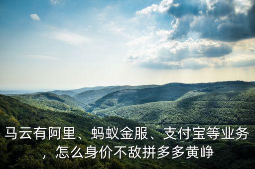 馬云有阿里、螞蟻金服、支付寶等業(yè)務(wù)，怎么身價(jià)不敵拼多多黃崢
