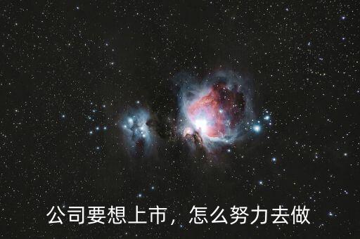 公司要想上市，怎么努力去做
