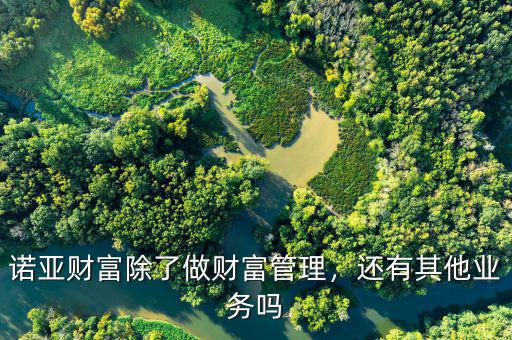 諾亞財(cái)富除了做財(cái)富管理，還有其他業(yè)務(wù)嗎