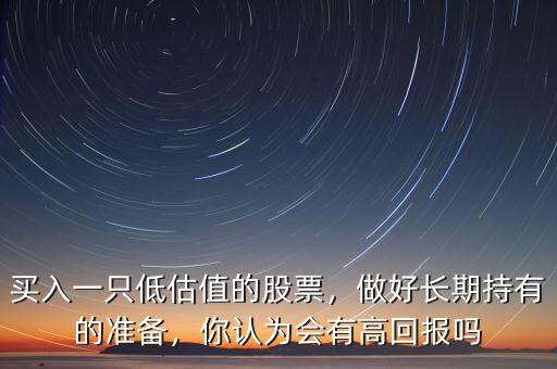 買入一只低估值的股票，做好長期持有的準備，你認為會有高回報嗎