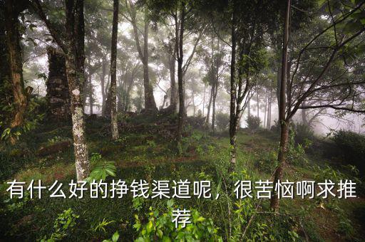 有什么好的掙錢渠道呢，很苦惱啊求推薦