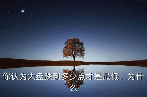 你認為大盤跌到多少點才是最低，為什么