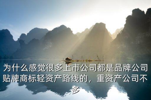 為什么感覺很多上市公司都是品牌公司貼牌商標輕資產(chǎn)路線的，重資產(chǎn)公司不多