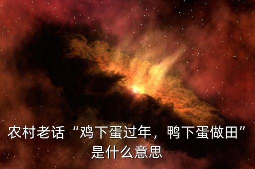 農(nóng)村老話“雞下蛋過年，鴨下蛋做田”是什么意思