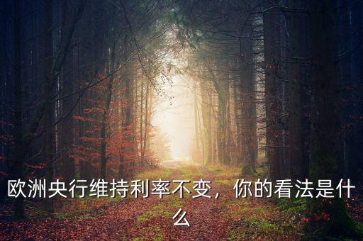 歐洲央行維持利率不變，你的看法是什么