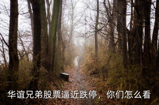 華誼兄弟股票逼近跌停，你們怎么看