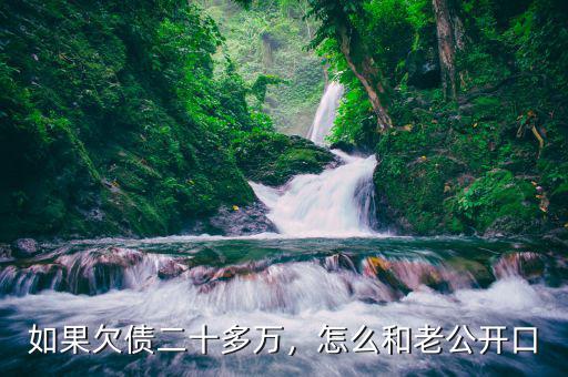 如果欠債二十多萬(wàn)，怎么和老公開口