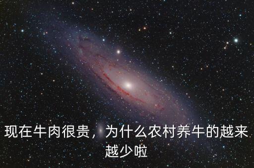 現(xiàn)在牛肉很貴，為什么農(nóng)村養(yǎng)牛的越來越少啦