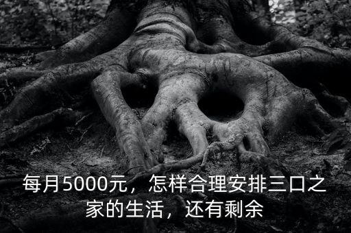每月5000元，怎樣合理安排三口之家的生活，還有剩余