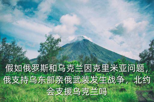 假如俄羅斯和烏克蘭因克里米亞問題，俄支持烏東部親俄武裝發(fā)生戰(zhàn)爭(zhēng)，北約會(huì)支援烏克蘭嗎
