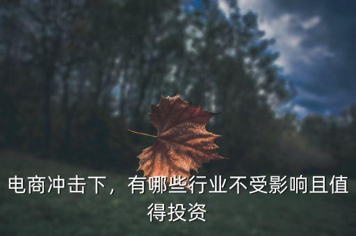 電商沖擊下，有哪些行業(yè)不受影響且值得投資