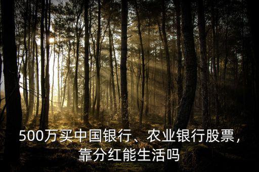 500萬買中國(guó)銀行、農(nóng)業(yè)銀行股票，靠分紅能生活嗎