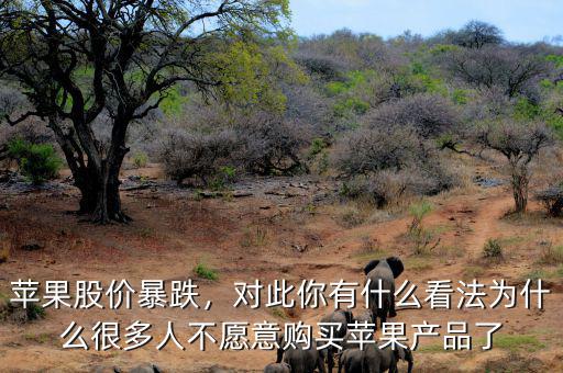蘋果股價(jià)暴跌，對此你有什么看法為什么很多人不愿意購買蘋果產(chǎn)品了