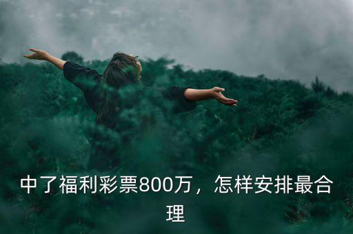 中了福利彩票800萬，怎樣安排最合理