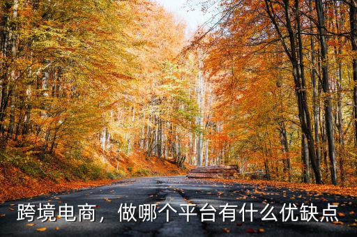 跨境電商，做哪個(gè)平臺(tái)有什么優(yōu)缺點(diǎn)