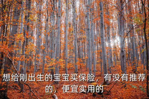 想給剛出生的寶寶買保險(xiǎn)，有沒有推薦的，便宜實(shí)用的