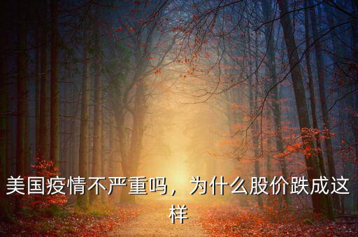 美國疫情不嚴(yán)重嗎，為什么股價(jià)跌成這樣