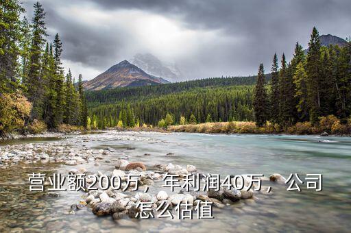 營業(yè)額200萬，年利潤40萬，公司怎么估值