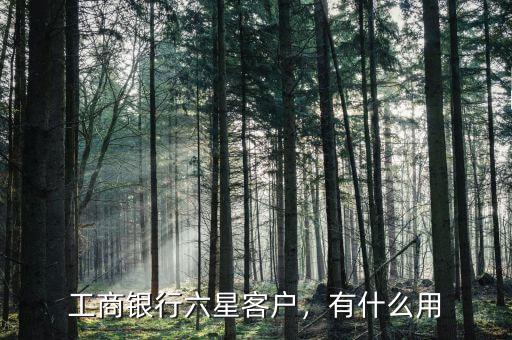 工商銀行六星客戶，有什么用