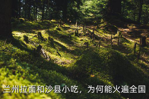 蘭州拉面和沙縣小吃，為何能火遍全國