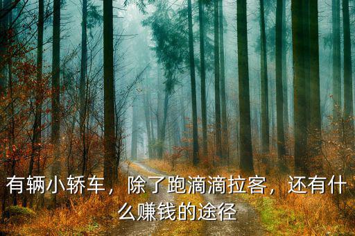 有輛小轎車(chē)，除了跑滴滴拉客，還有什么賺錢(qián)的途徑