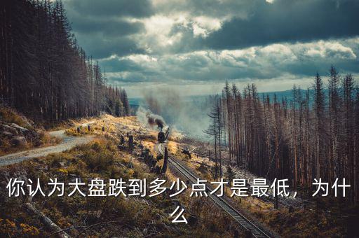 你認(rèn)為大盤(pán)跌到多少點(diǎn)才是最低，為什么
