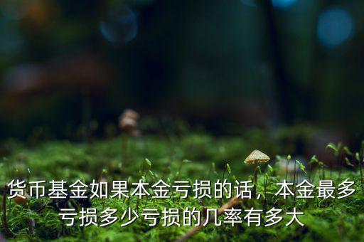 貨幣基金如果本金虧損的話，本金最多虧損多少虧損的幾率有多大