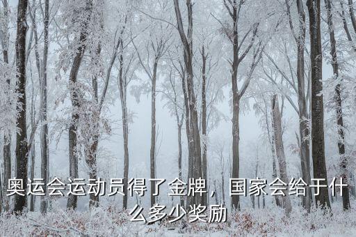 奧運(yùn)會(huì)運(yùn)動(dòng)員得了金牌，國(guó)家會(huì)給于什么多少獎(jiǎng)勵(lì)