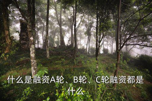 什么是融資A輪、B輪、C輪融資都是什么