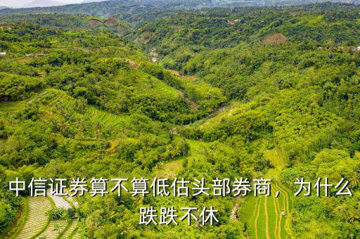 中信證券算不算低估頭部券商，為什么跌跌不休