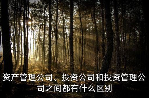 資產(chǎn)管理公司、投資公司和投資管理公司之間都有什么區(qū)別