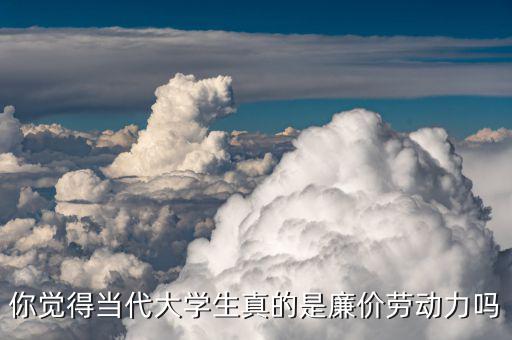 什么是廉價(jià)勞動力,是怎樣的一種體驗(yàn)
