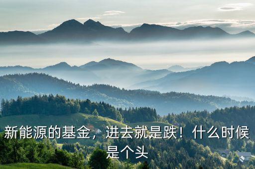 新能源的基金，進(jìn)去就是跌！什么時候是個頭