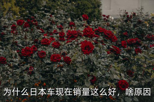 為什么日本車(chē)現(xiàn)在銷(xiāo)量這么好，啥原因