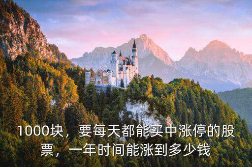 1000塊，要每天都能買中漲停的股票，一年時間能漲到多少錢