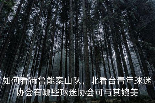 如何看待魯能泰山隊，北看臺青年球迷協(xié)會有哪些球迷協(xié)會可與其媲美