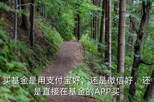 買基金是用支付寶好，還是微信好，還是直接在基金的APP買