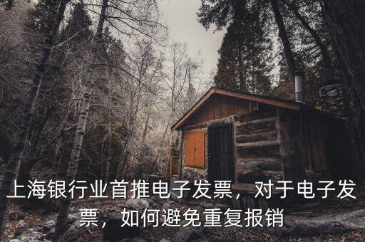 上海銀行業(yè)首推電子發(fā)票，對于電子發(fā)票，如何避免重復報銷