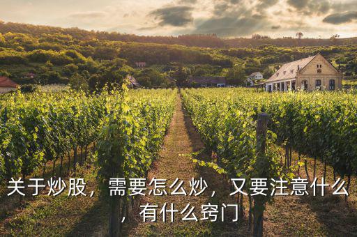 關(guān)于炒股，需要怎么炒，又要注意什么，有什么竅門(mén)