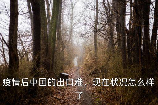 疫情后中國的出口難，現(xiàn)在狀況怎么樣了