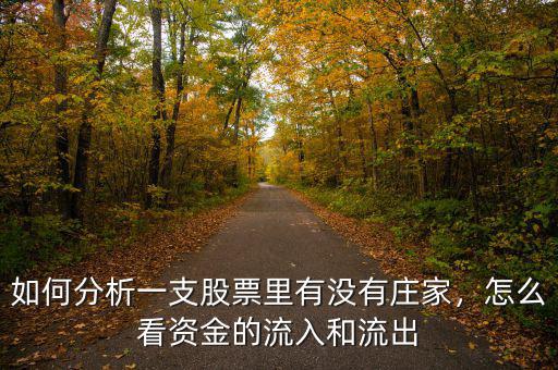 如何分析一支股票里有沒有莊家，怎么看資金的流入和流出