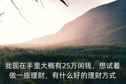 我現(xiàn)在手里大概有25萬閑錢，想試著做一些理財，有什么好的理財方式